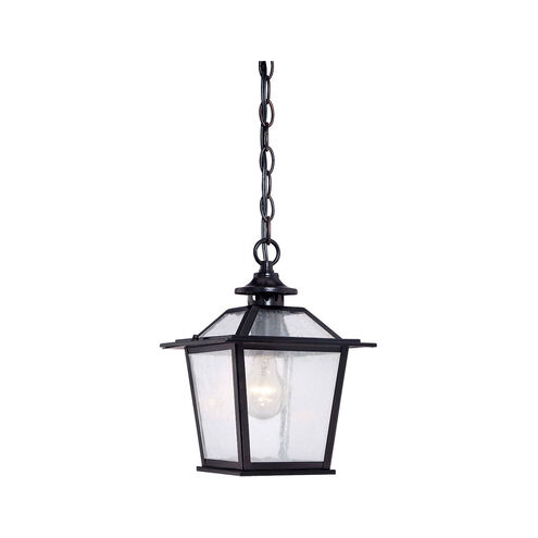 Salem 1 Light 8 inch Matte Black Exterior Hanging Lantern