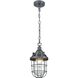Steel Trap 1 Light 6 inch Graphite with Clear Mini Pendant Ceiling Light