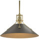 Henry 1 Light 14.4 inch Modern Brass and Oil Rubbed Bronze Mini Pendant Ceiling Light in Modern Brass/Oil Rubbed Bronze, Medium