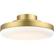TriAire Custom 1 Light Brushed Satin Brass Fan Light