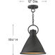 Winnie LED 12 inch Aged Zinc with Distressed Black Indoor Pendant Ceiling Light