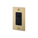 1G Duplex 125 Brass Outlet, USB A + C