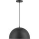 Vantage Pendants 1 Light 15.38 inch Coal Hanging Dome Ceiling Light