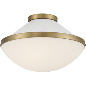 Xander 2 Light 16.25 inch Flush Mount