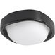 Pebble 8.25 inch Glossy Black Flush Mount Ceiling Light