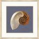 Coastal Delight / Ocean Treasure Blue and Beige and Brown Framed Art