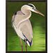Animals Collection Modern Rubbed Matte Espresso Wood With Honeycomb Embossing Framed Art