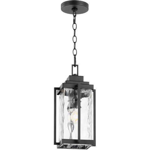 Domus 1 Light 8 inch Noir Outdoor Pendant