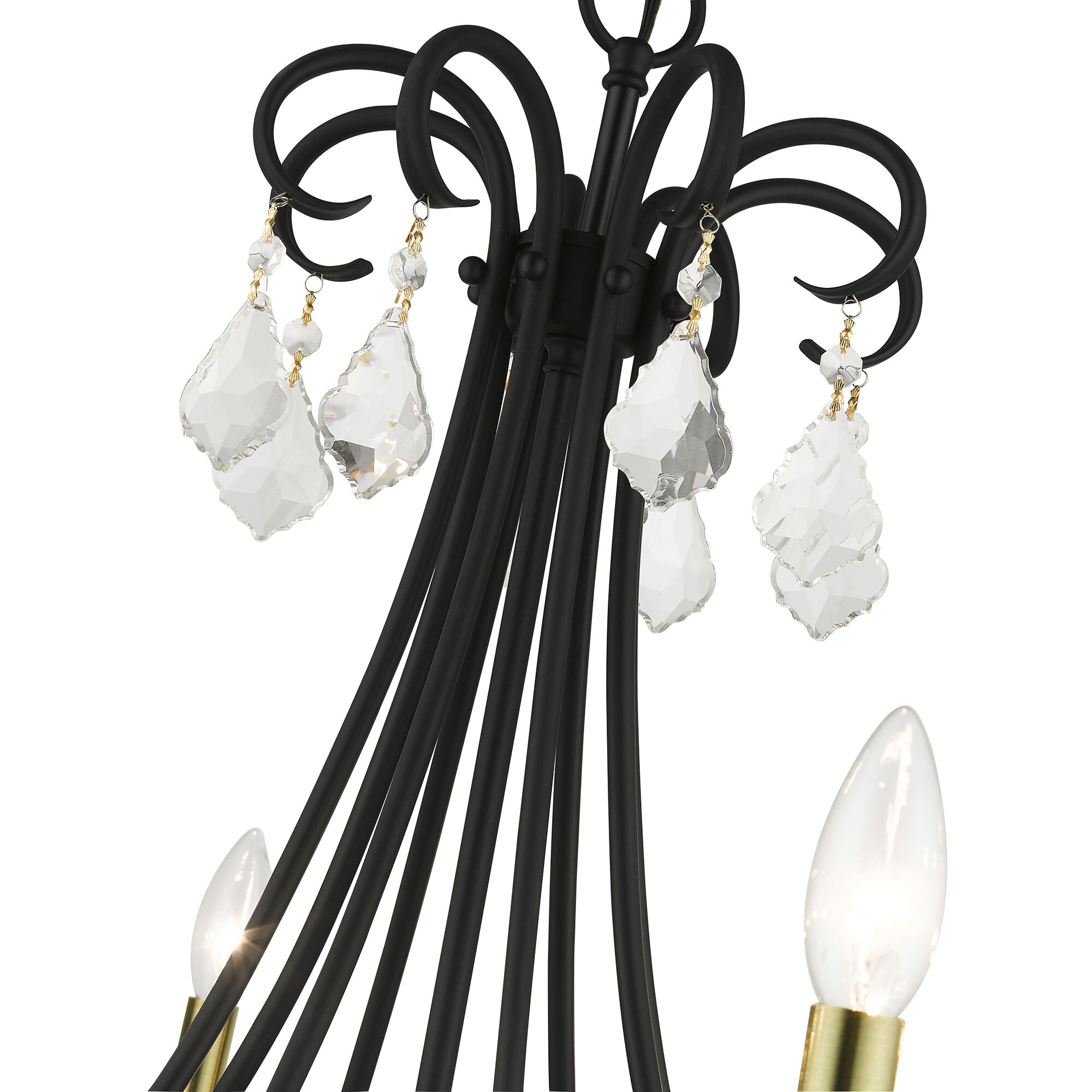 Daphne 8 Light 29.75 inch Black with Antique Brass Finish Accents Chandelier Ceiling Light in Black with Antique Brass Accents, Large