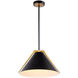 Baltic LED 15 inch Black and Brushed Brass Pendant Ceiling Light