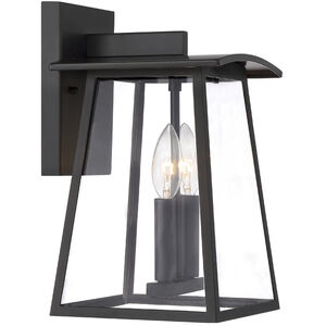 Calderwood Outdoor Wall Lantern