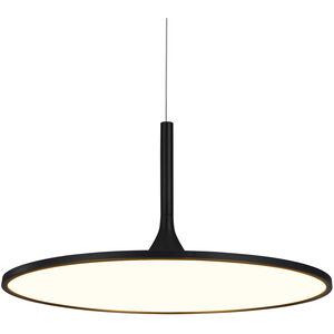 Salm 24 inch Black Pendant/Chandelier Ceiling Light