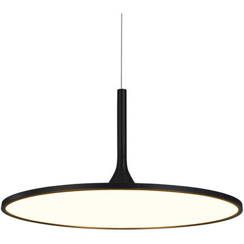 Salm 24 inch Black Pendant/Chandelier Ceiling Light