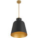 Holloway 1 Light 15 inch Legacy Brass and Dark Matte Black Pendant Ceiling Light
