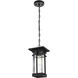 Livingston 1 Light 6.5 inch Black Outdoor Pendant