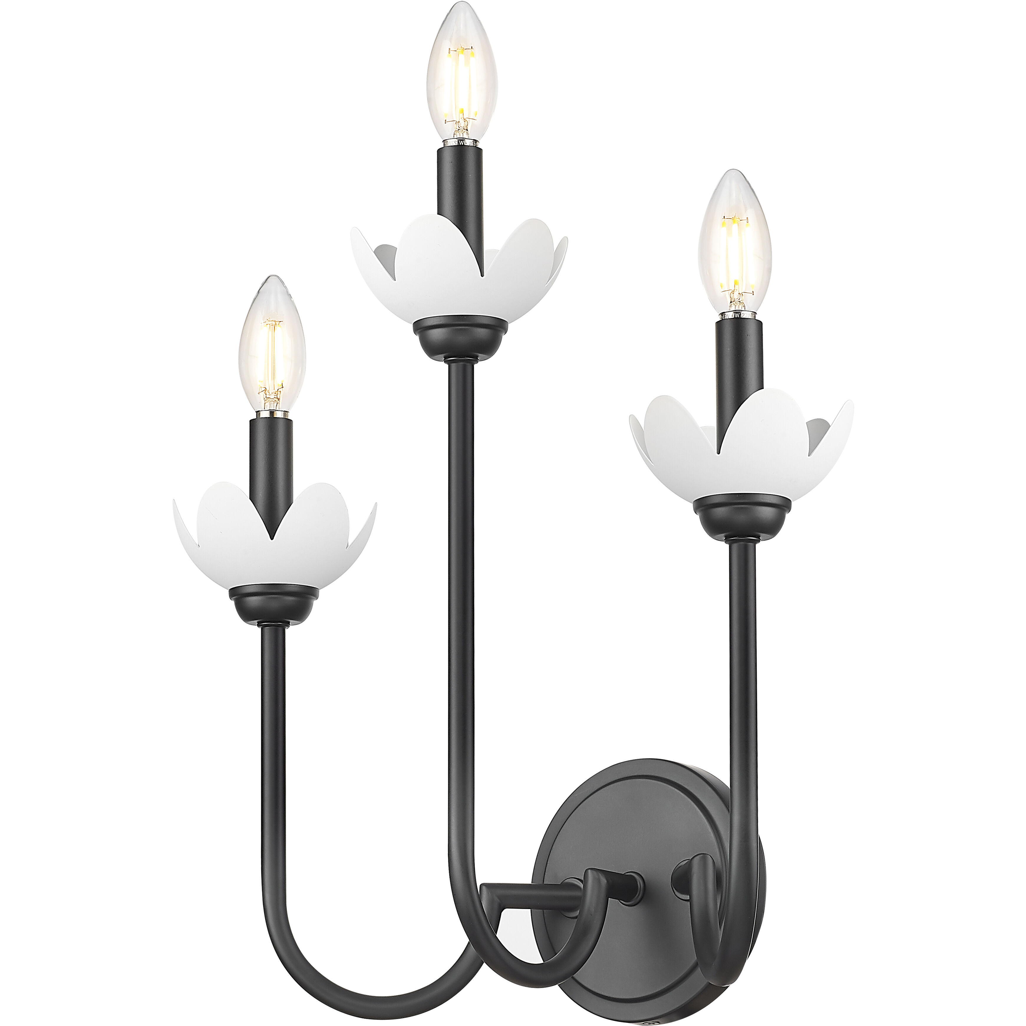 Allistair Wall Sconce Wall Light in Matte Black