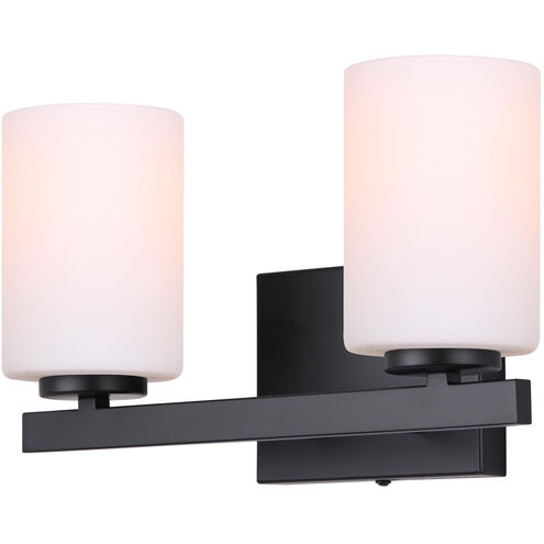 Jae 2 Light 14 inch Matte Black Vanity Light Wall Light