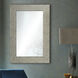 Leda 36 X 24 inch Antique Silver Wall Mirror