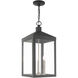 Nyack 3 Light 10.5 inch Scandinavian Gray Outdoor Pendant Lantern