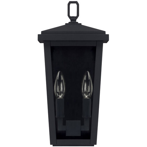 Donnelly 2 Light 15 inch Black Outdoor Wall Lantern