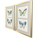 Watery Butterfly Blue and Green and Multi and Orange Framed Art, Propac