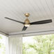 Kylpin 60 inch Brass with Matte Black Blades Indoor/Outdoor Ceiling Fan