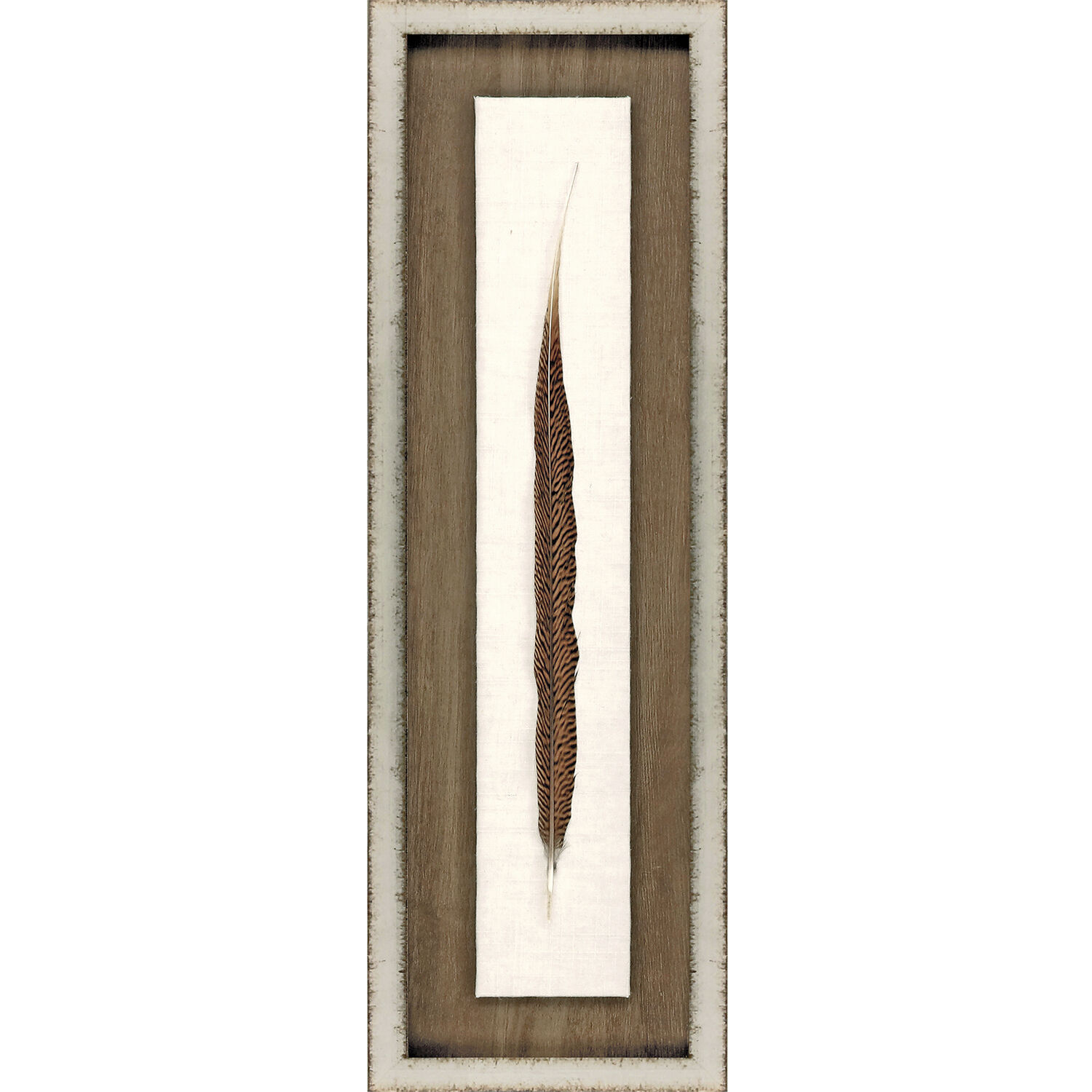 Lady Amhurst Feather Pheasant Feather Brown and Black and Neutral Framed Art