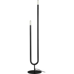 Wand 40.5 inch 60.00 watt Matte Black Decorative Floor Lamp Portable Light