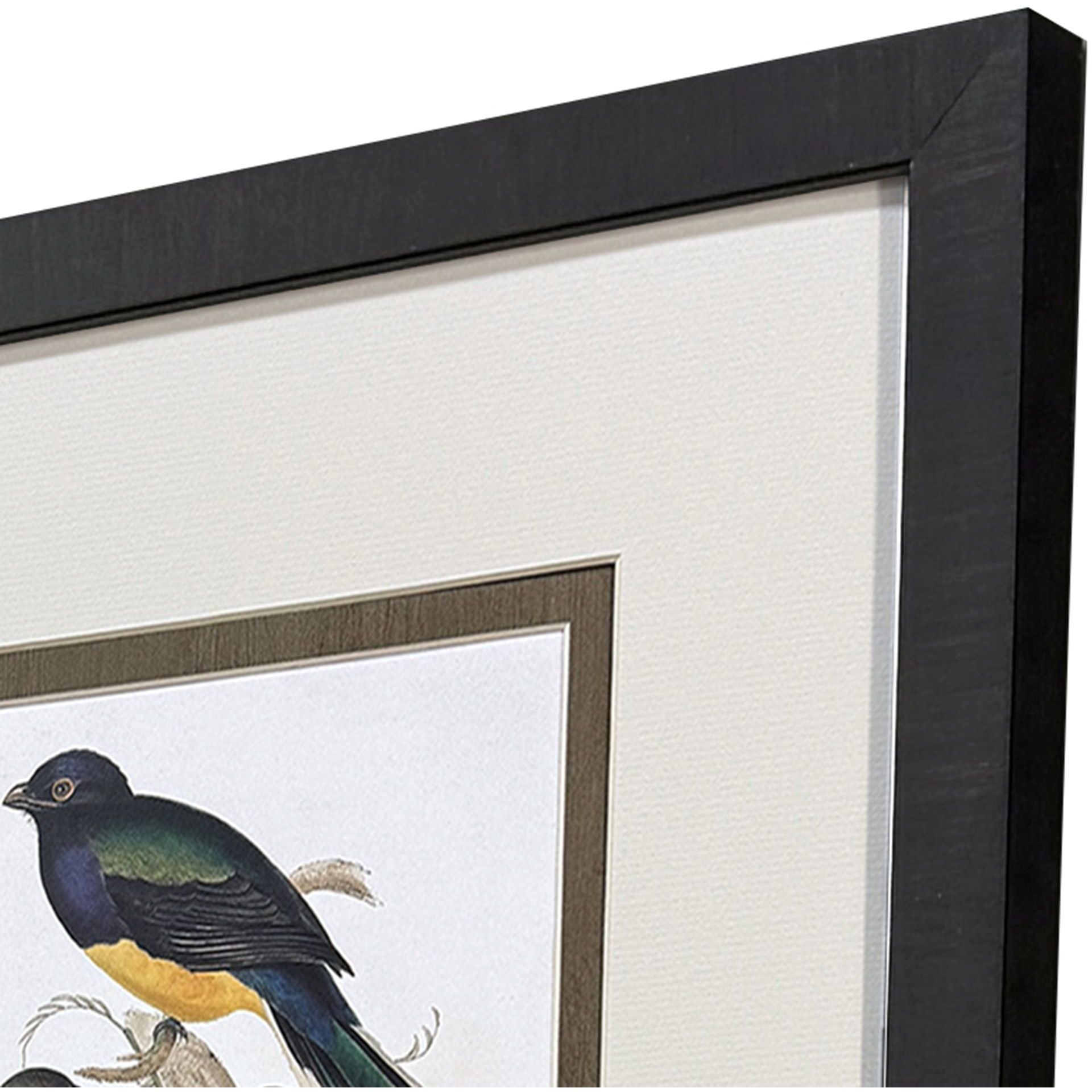Elegant Trogons Multi and Green and Rust and Red Framed Art, Propac