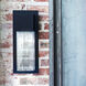 Alex LED 15.75 inch Black Outdoor Wall Mount, Coastal Elements