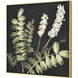 Botanical Study Green with Black and Gold Framed Wall Art, II