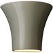 Ambiance LED 8 inch Carbon Matte Black Wall Sconce Wall Light