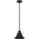 Union LED 15 inch Midnight Pendant Ceiling Light