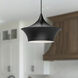 Alora Mood Emiko Pendant Ceiling Light in Matte Black