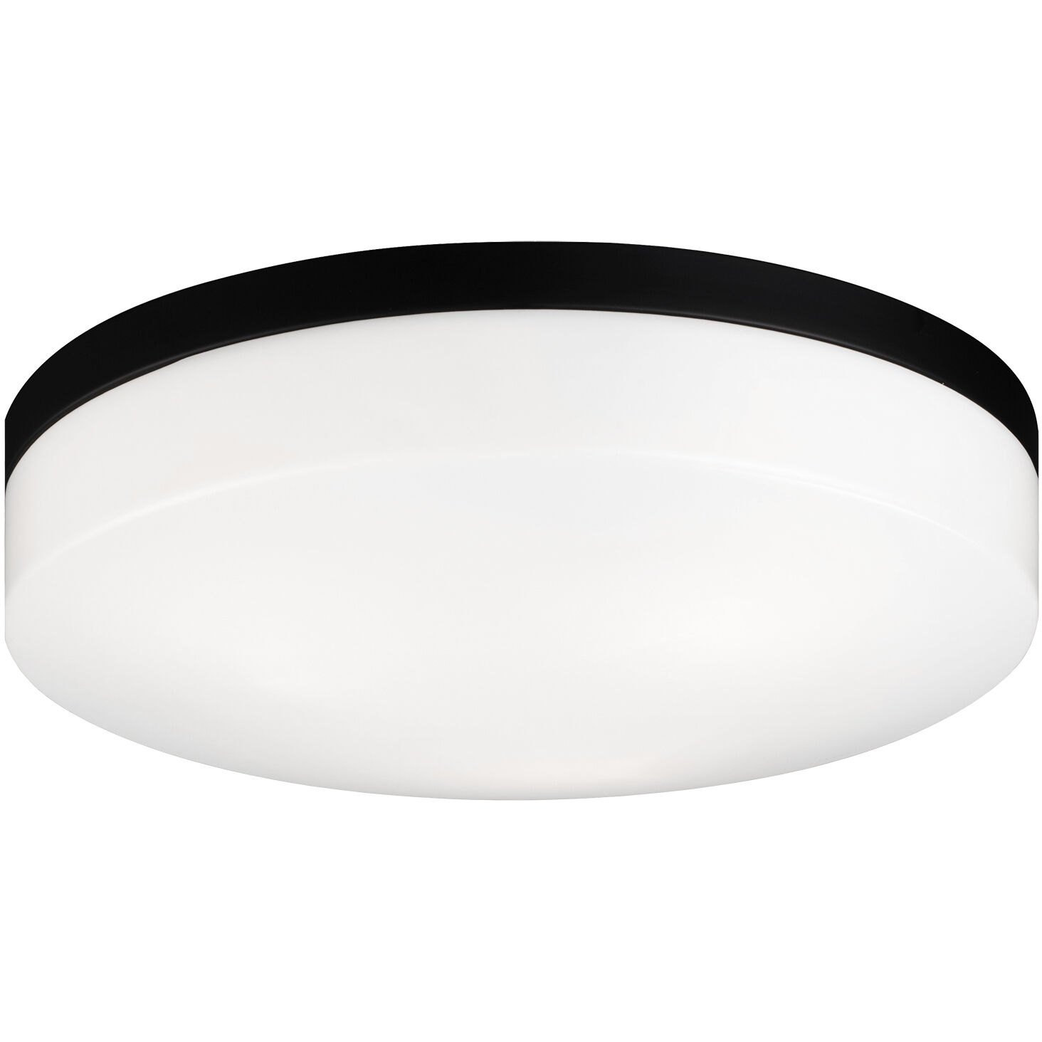 Xenon LED 14 inch Black Flush Mount Ceiling Light