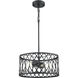 Arelyn 2 Light 13 inch Matte Black Indoor Pendant Ceiling Light