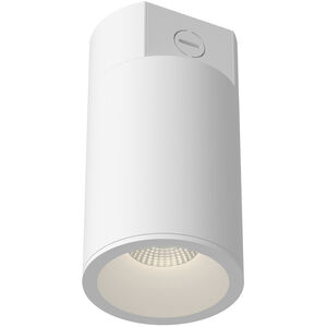Lorna 4.38 inch Flush Mount