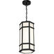 Monte 1 Light 9 inch Satin Black Outdoor LED Pendant