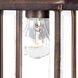 Madison 1 Light 15 inch Burled Walnut Exterior Wall Mount in Clear