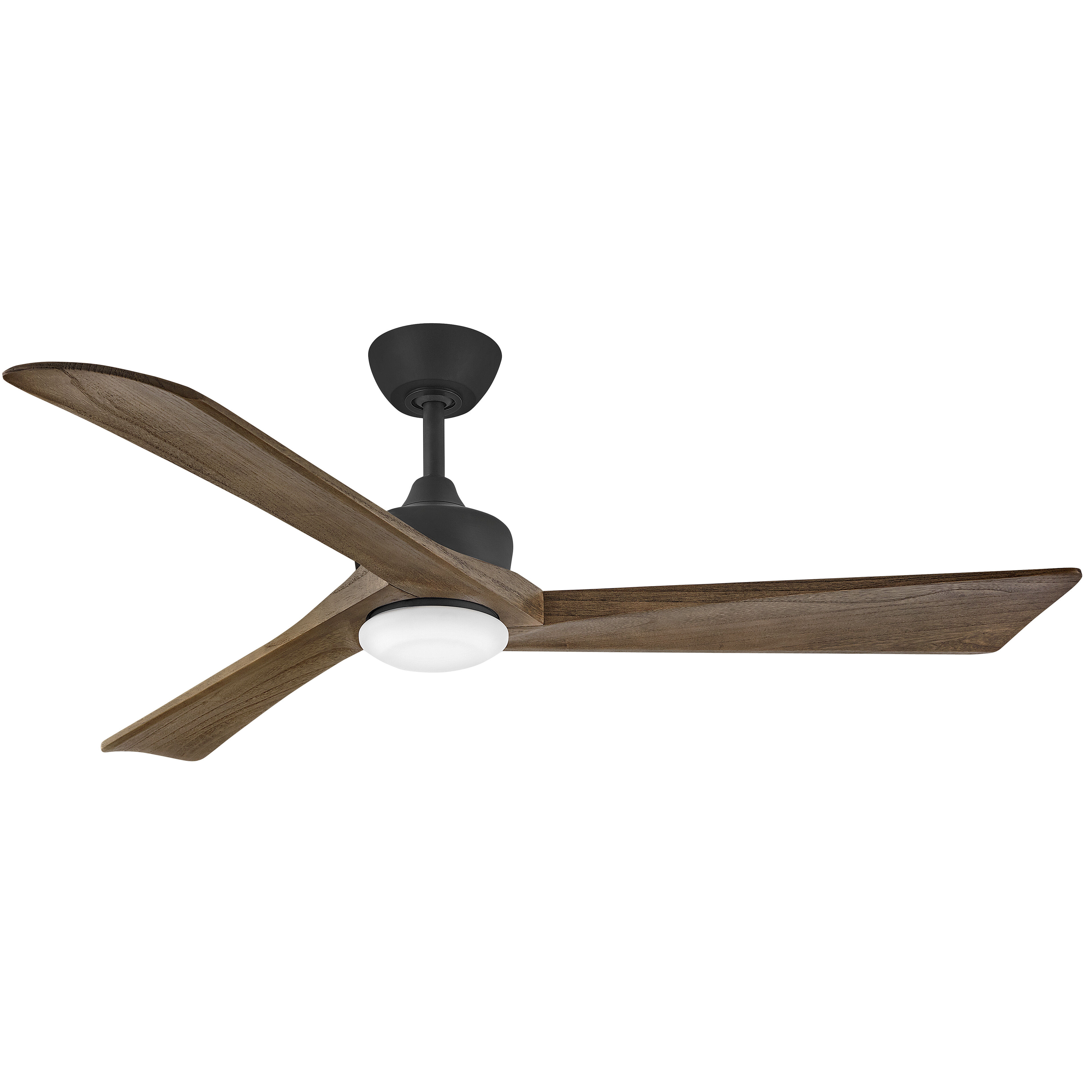 Sculpt 60 inch Matte Black with Walnut Blades Fan
