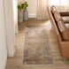 Rienz Brown Indoor Rug