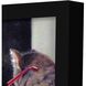 Animals Collection 11 X 9 inch Non-Glass Framed Art