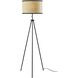 Raven 58.5 inch 150.00 watt Black Floor Lamp Portable Light