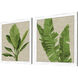 Palm Isle Green and Beige and Multi and Neutral Framed Art