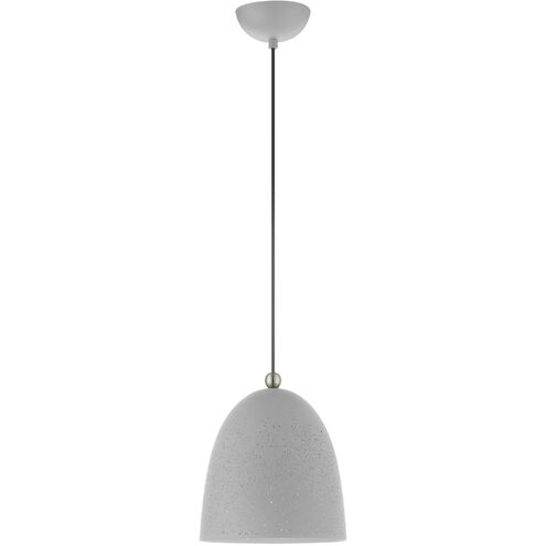 Arlington 1 Light 10 inch Nordic Gray with Brushed Nickel Accents Pendant Ceiling Light
