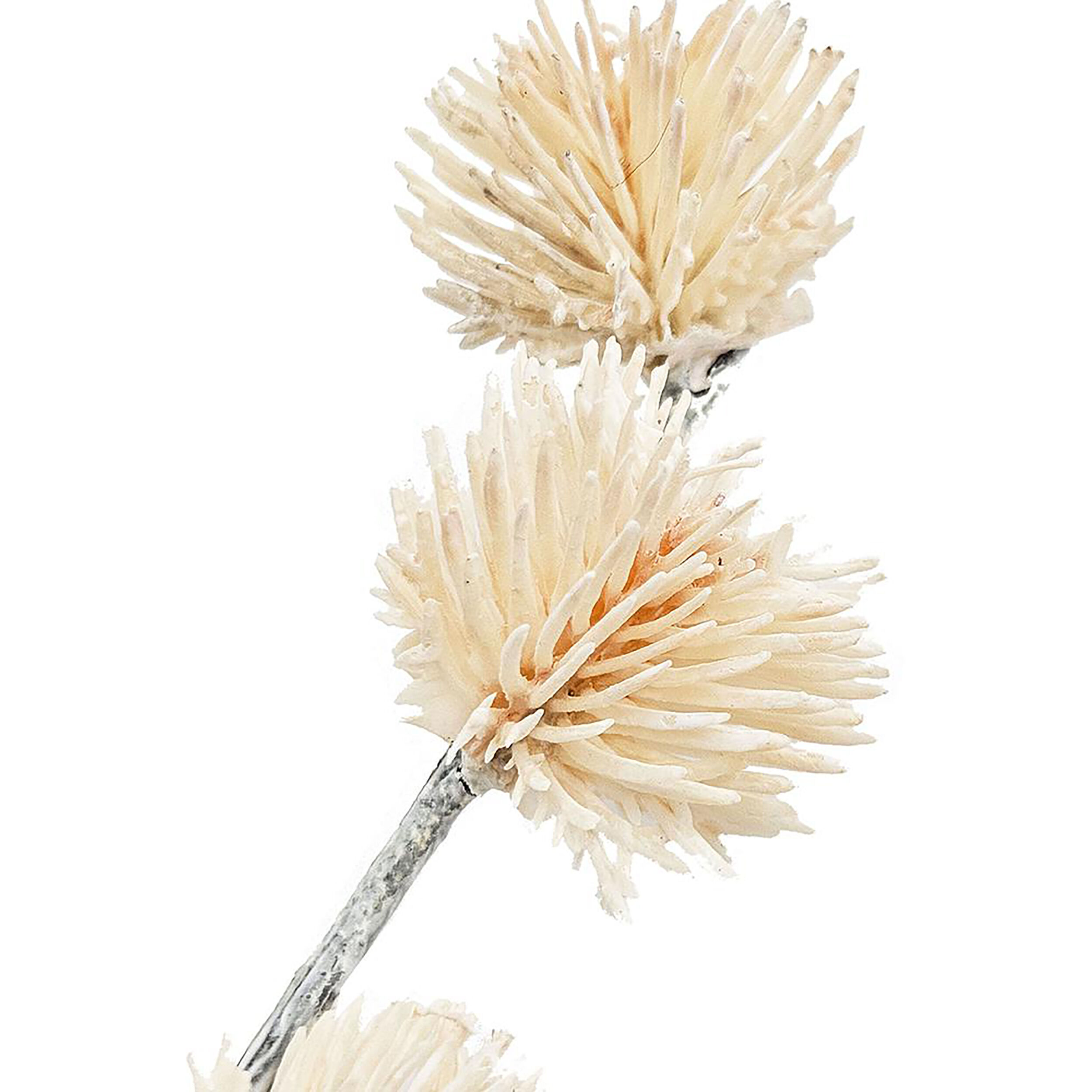 Anita Cream Faux Branch