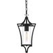 Belgrade 1 Light 7 inch Black Outdoor Pendant