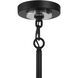 Majestic Splendor 4 Light 19 inch Polished Nickel/Sand Coal Pendant Ceiling Light