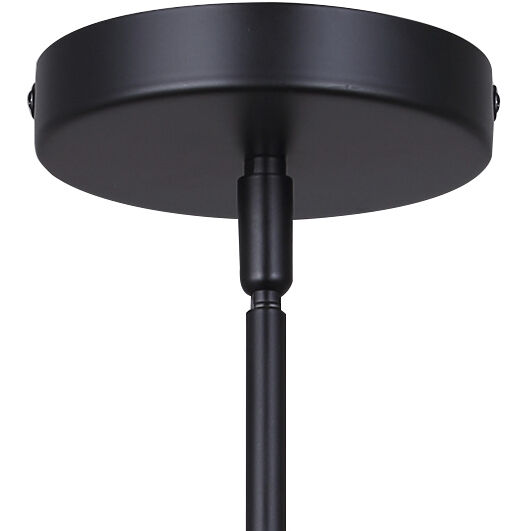 Payton 1 Light 12 inch Black Pendant Ceiling Light