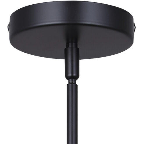 Payton 1 Light 12 inch Black Pendant Ceiling Light